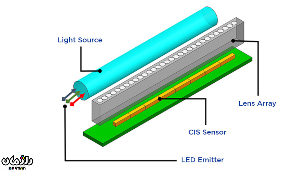 cis-rajman-1